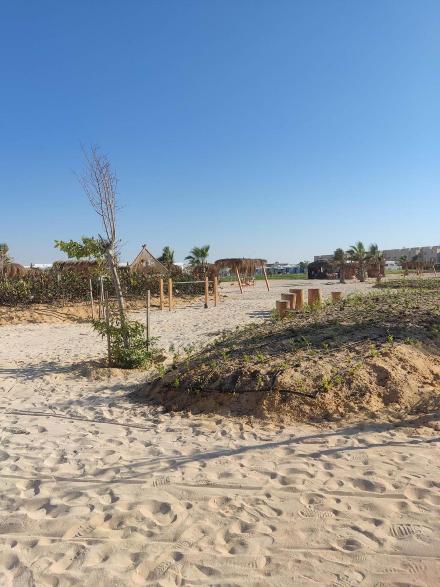 D-Bay North Coast Otel Zawiyat 'abd al Mun'im Dış mekan fotoğraf
