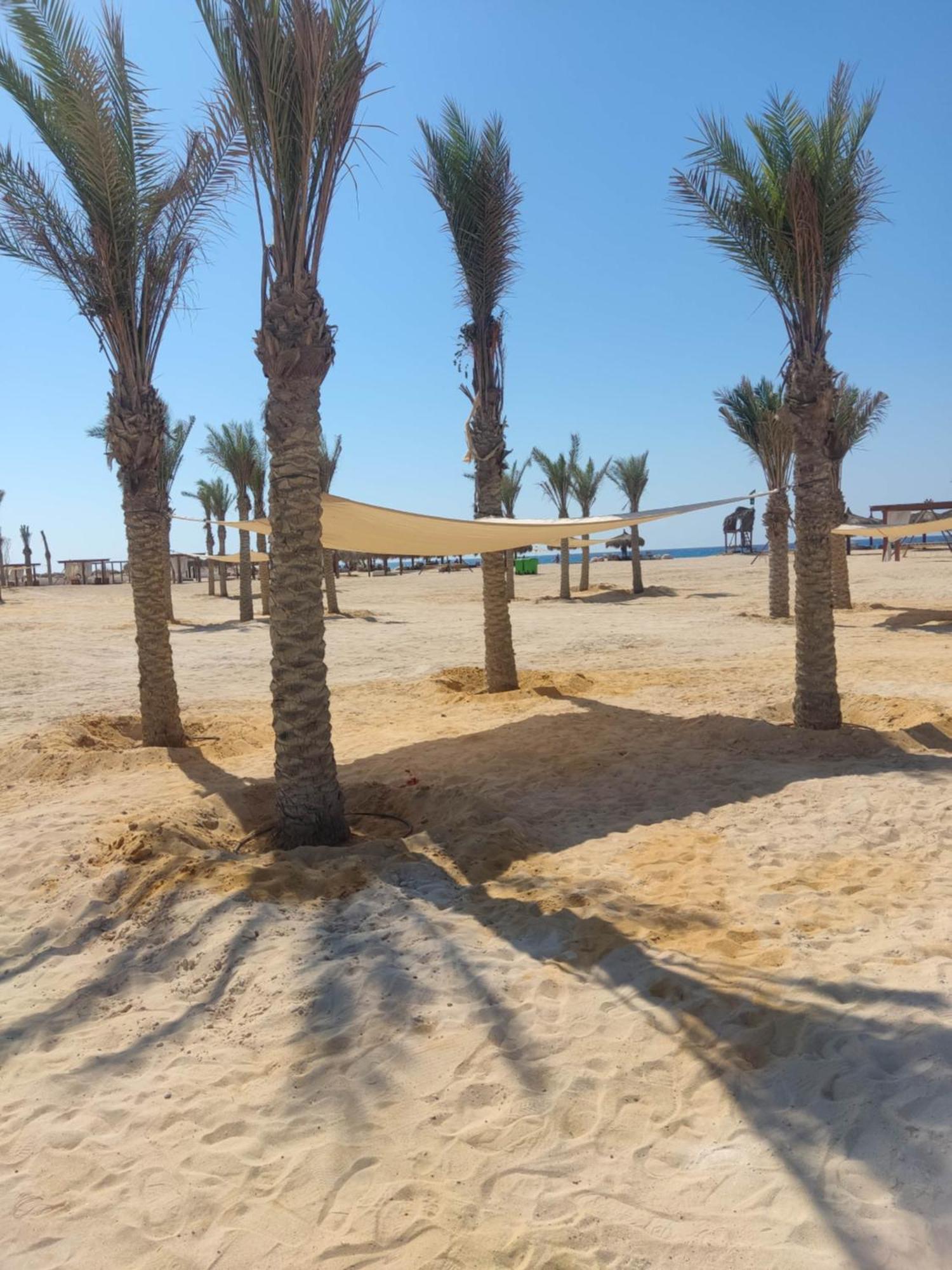 D-Bay North Coast Otel Zawiyat 'abd al Mun'im Dış mekan fotoğraf